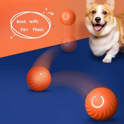 Smart Roll Pet Interactive Ball (FREE SHIPPING) - Durable, Bite-Resistant Dog Toy For