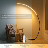 RGBW Modern Curve Floor Lamp (FREE SHIPPING) – Dynamic Lighting with Sleek Contemporary Design