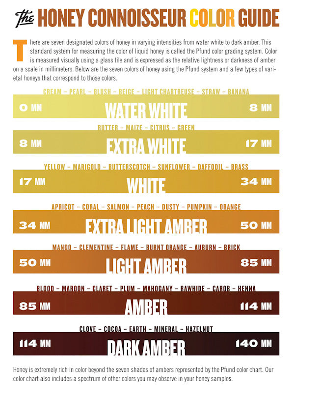 Honey by the Jar – Raw, Pure, and Sustainably Sourced