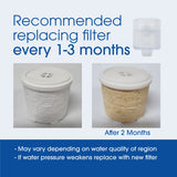Be Healthy iBlue Pro Portable Anti-viral Omnia Replacement Filter (2pcs)