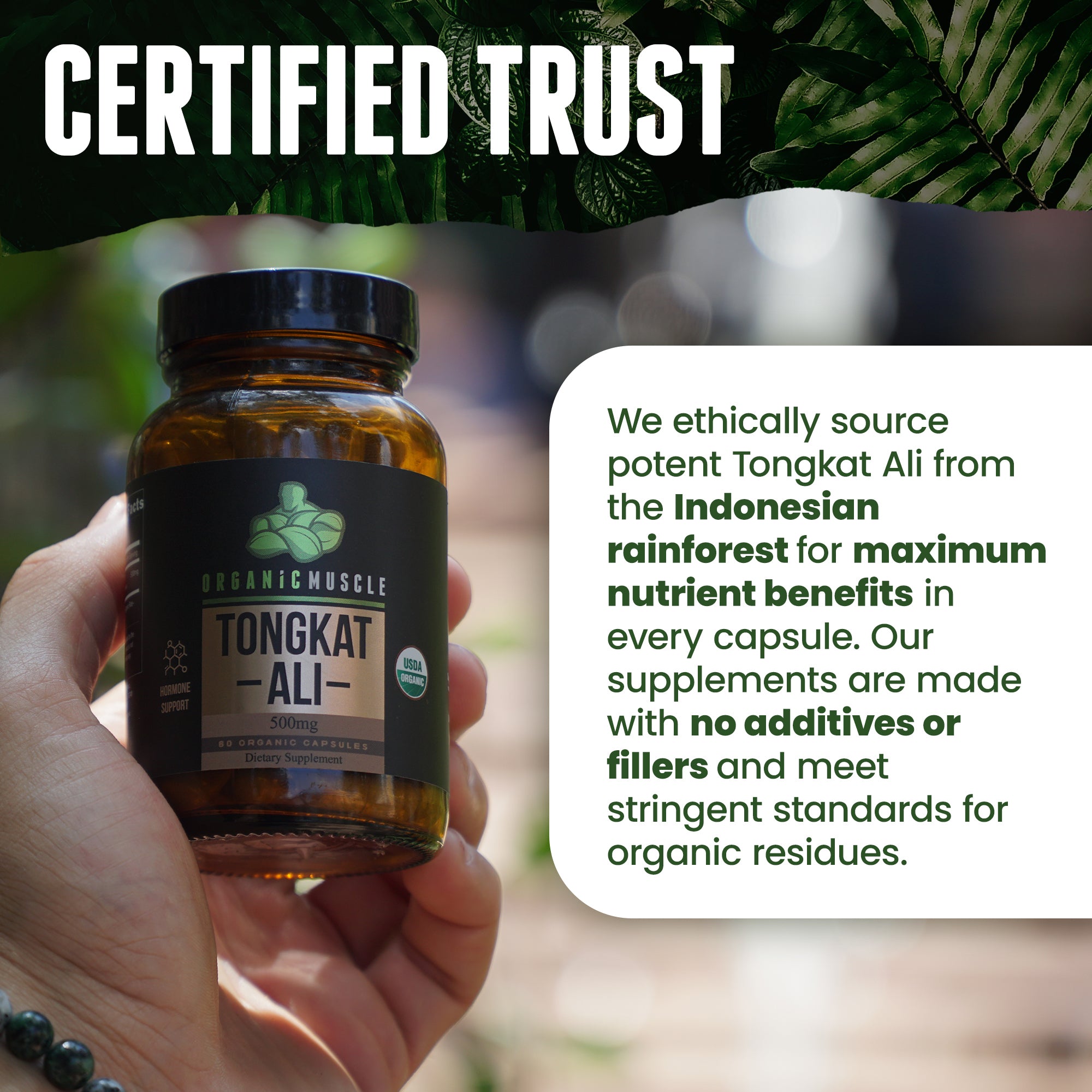 USDA Certified Organic Tongkat Ali