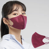 Blue 2D Style Mask Burgundy Color (Large)