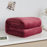 Cozy Coral Fleece Blanket, Single-Layer Nap Throw, Winter Flannel Blanket