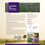 Lavender Serenity Tallow Gift Collection – Relaxation, Aromatherapy, Natural