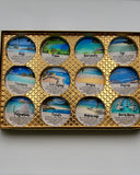 Destination Aromatherapy Shower Steamers Gift Set – 12 Essential Oil Bombs — luxury spa, refreshing scents, handmade