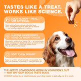 Seasonal Allergy Support Chews for Dogs with Colostrum & Hemp Seed Oil, 180 Count - Itch Comfort, Immune Health, Digestive Care