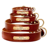 Personalized Genuine Leather Dog Collar With Stainless Steel Nameplate