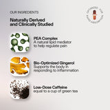 Relivaid™ Doctor-Formulated Pain Support - Natural Bioactives, Rapid Absorption, Daily Comfort