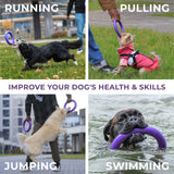PULLER Mini Purple Dog Play Rings for Small Breeds, Set of 2 - Fetch Training, Tug Games, Water Fun