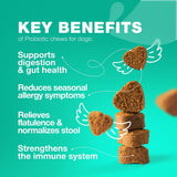 Duck-Flavored Probiotic Soft Chews for Dogs with Pumpkin & Digestive Enzymes - Bowel Support, Nutrient Absorption, Skin & Coat