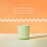 Caftari Signature Gift Set – Luxury Fragrance Trio — aromatherapy, mindful relaxation, home ritual