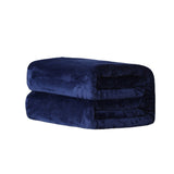 Cozy Coral Fleece Blanket, Single-Layer Nap Throw, Winter Flannel Blanket