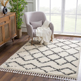 Wallagrass Trellis Shag Area Rug – plush comfort, Moroccan style, textured design