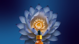 Lucid ✦ Blue Lotus Tincture – Relaxation Elixir, Herbal Clarity Support, Evening Ritual Blend