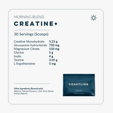 Daily Longevity Morning Blend with Creatine Powder, Healthy Aging, Daily Wellness, Morning Nutrition