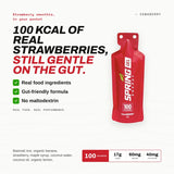 Spring Energy Race Fuel & Hydration Bundle - Endurance, Competition, Recovery