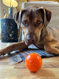Squeak Ball - Durable Squeaky Dog Toy, Floats, Chew Toy - USA Made
