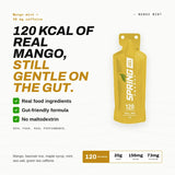 Spring Energy Race Fuel & Hydration Bundle - Endurance, Competition, Recovery