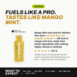 Spring Energy Race Fuel & Hydration Bundle - Endurance, Competition, Recovery
