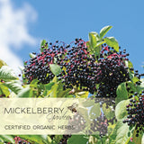 Elderberry Honey Tonic – Natural Immune Support in a Delicious Blend