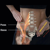 Orbit Deep Hip Release Massage Ball, Psoas Therapy, Glute Recovery, Mobility Tool