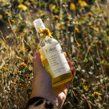 Restorative Body Oil – Wild Carrot Seed – hydrating, antioxidant, mood-boosting