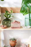 Rose Garden Organic Soap - Vegan Soap, Palm Free - Soft, Hydrated, Glowing Skin