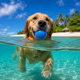 Squeak Ball - Durable Squeaky Dog Toy, Floats, Chew Toy - USA Made