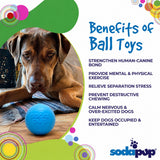 Squeak Ball - Durable Squeaky Dog Toy, Floats, Chew Toy - USA Made