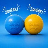 Squeak Ball - Durable Squeaky Dog Toy, Floats, Chew Toy - USA Made