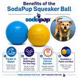 Squeak Ball - Durable Squeaky Dog Toy, Floats, Chew Toy - USA Made