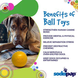 Squeak Ball - Durable Squeaky Dog Toy, Floats, Chew Toy - USA Made