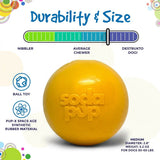 Squeak Ball - Durable Squeaky Dog Toy, Floats, Chew Toy - USA Made