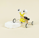Bug Robot DIY Kit, Educational STEM Toy – Robotics, Engineering, Creativity