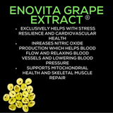 Upgraded T Advanced Testosterone Support for Energy, Vitality & Hormone Balance, Libido Boost, Natural Performance Formula