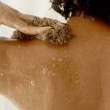 Firming Body Wash – Rose Geranium & Grapefruit – tightening, hydrating, plant-based