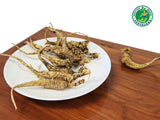 Wild American Ginseng Roots 10–15 Year Premium Gift Box, Forest Harvest, Luxury Gift, Authentic Ginseng
