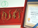 Wild American Mountain Ginseng 20–30 Year Premium Roots, Mature Harvest, Rare Botanical, Heritage Collection