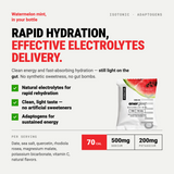 Spring Energy Bestsellers Fuel & Hydration Bundle - Running, Race Day, Variety Pack