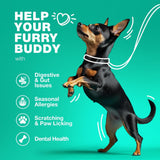 Duck-Flavored Probiotic Soft Chews for Dogs with Pumpkin & Digestive Enzymes - Bowel Support, Nutrient Absorption, Skin & Coat
