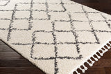 Wallagrass Trellis Shag Area Rug – plush comfort, Moroccan style, textured design