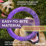 PULLER Mini Purple Dog Play Rings for Small Breeds, Set of 2 - Fetch Training, Tug Games, Water Fun
