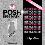 POSH KF94 Mask Rhythmic Movement Stripes (A10)