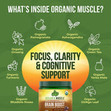 Superfood Brain Boost - Chocolate Mocha