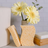 Cellulose Kitchen Sponges - Biodegradable, Zero Waste Sponges, 100% Wood Pulp