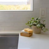 Cellulose Kitchen Sponges - Biodegradable, Zero Waste Sponges, 100% Wood Pulp